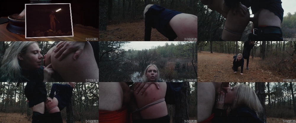 Watch the Latest Domthenation Video