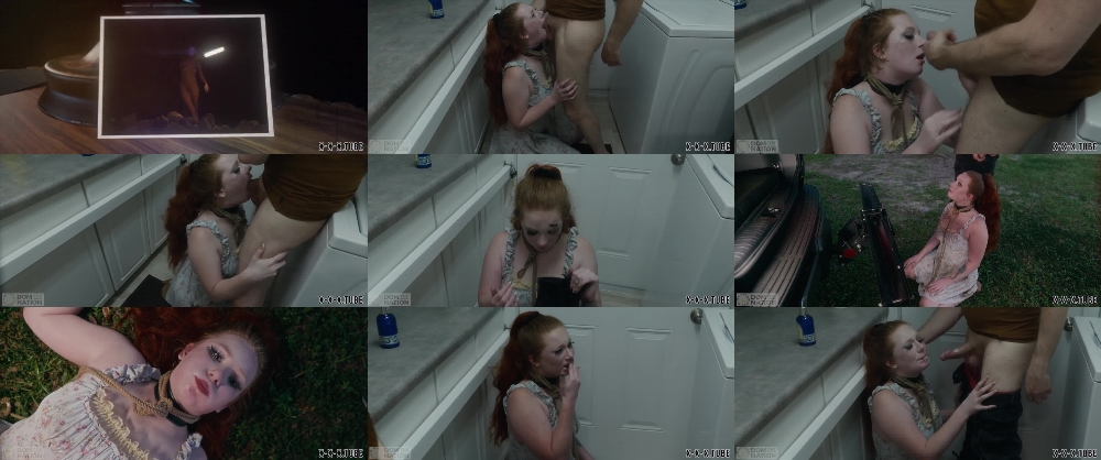 Domthenation's Siren S Shows the Power of Mouth Training