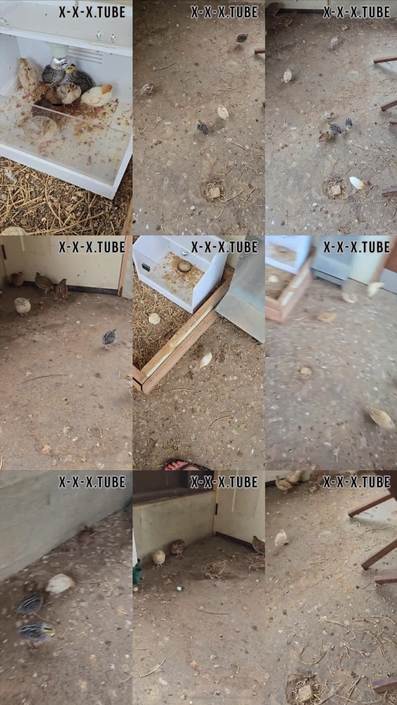 Your Submissive Doll - OnlyFans Adult Video