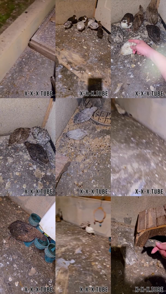 Your Submissive Doll: Taking Care of More Small Friends on OnlyFans