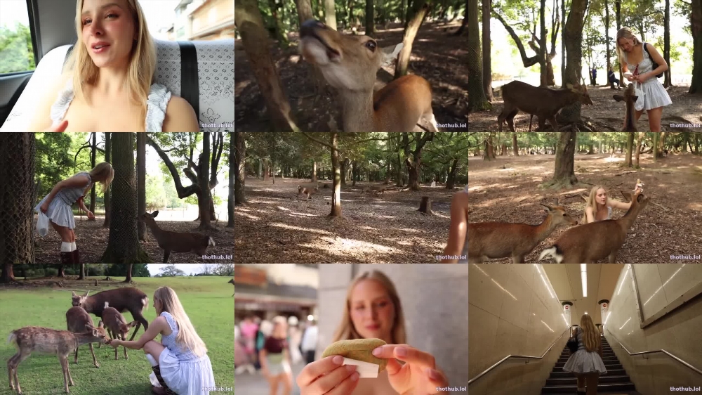 Caroline Zalog's Enchanting Kyoto Vlog