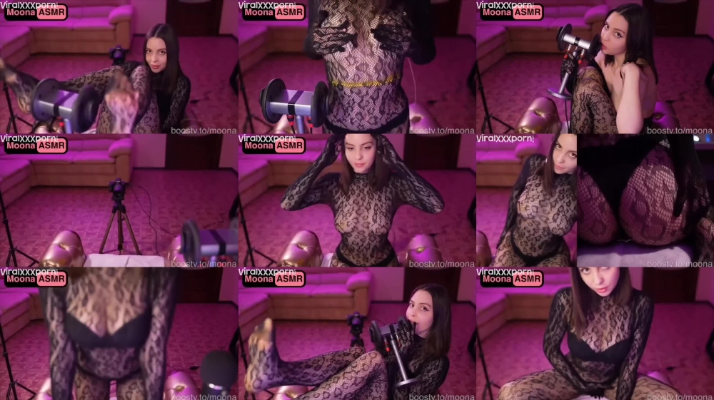 A Day in the Life of a Cat